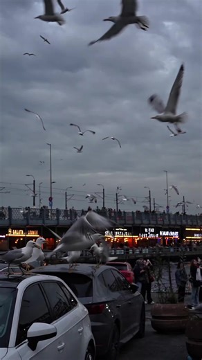 Exploring Istanbul: Top Attractions and Hidden Gems