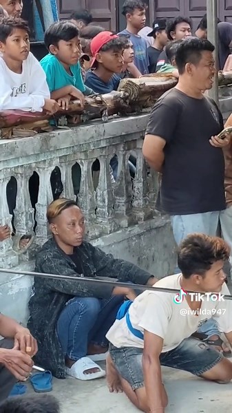 Dora the Explorer: Petualangan Seru dan Inspiratif