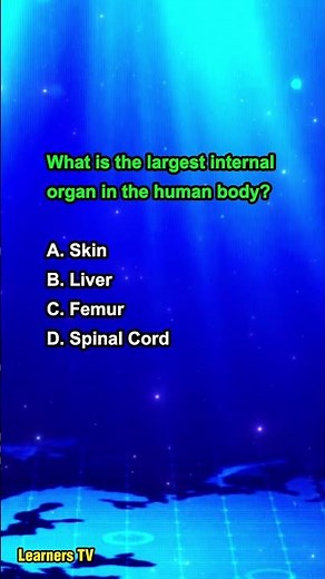 What is the largest internal organ in the human body?