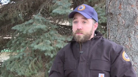 Springtime means bears are out and hungry in Montana—tips to stay safe