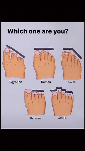 23K views · 122 reactions | Toe tally how to tell your origins #genes #roots #familytree | Darrell Ducharme | Facebook