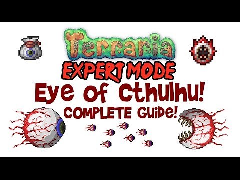 Terraria Eye of Cthulhu Expert Mode Guide (+Normal)! Gear, arena, ALL drops, treasure bag & shield!