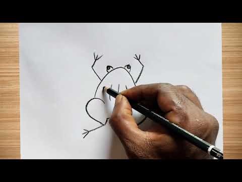 How to draw frog drawing easy step by step || frog drawing