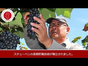 75 つるたスチューベン