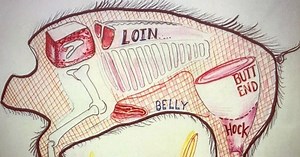 Eating The Whole Hog: How Southerners Make The Most Of Pig Parts