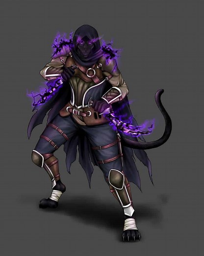 D&D 5e: Tabaxi Race Guide - Sage Gamers