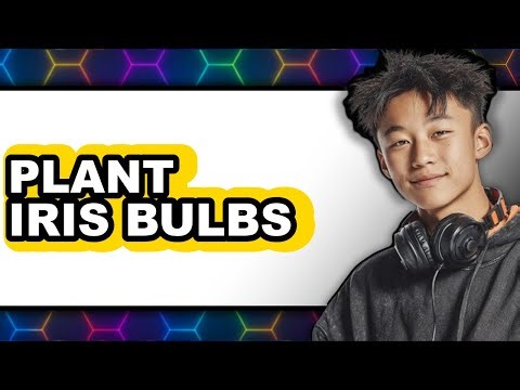 How to Plant Iris Bulbs 2025 (Only Way)