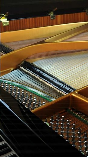 Debussy - Reflets dans l'eau | August Förster Grand Piano #debussy #pianist #classicalmusic