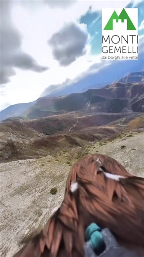 2.6K views · 377 reactions | MONTE PISELLI a vista da un Aquila reale...