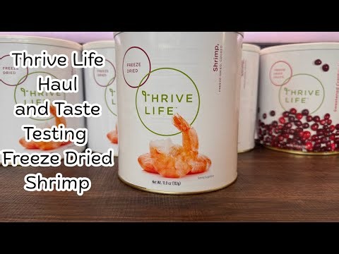 Love it!! | Taste Test Freeze Dried Shrimp | I'm not sure what I was expecting