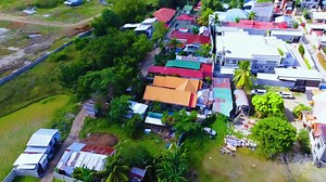 7.2K views · 376 reactions | My Future Fish & Pet Backyard Farm | Dexter's World | Facebook