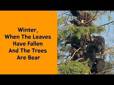 50 Funny Animal Posts Guaranteed To Make You Smile