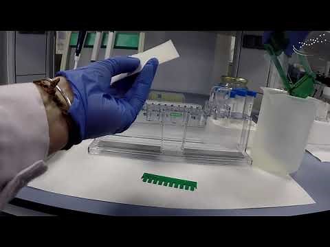 Preparation of a polyacrylamide gel | | UPV