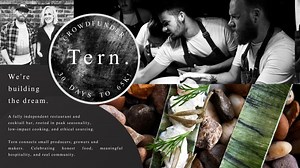 Tern - Growing into the Vision