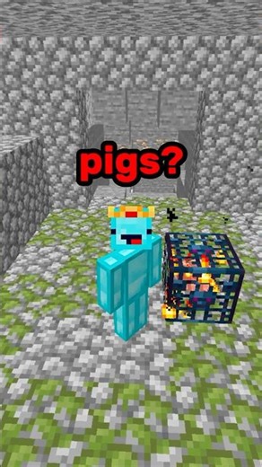 Minecraft Pig Spawner?! ⛏💎