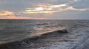 အွန်လိုင်းကနေ တကမ္ဘာလုံးကို လိမ်လည်နေကြတဲ့ ကောလ်စင်တာတွေဟာ မြန်မာ၊ ကမ္ဘောဒီးယားနဲ့ လာအိုတို့မှာ အဓိကအခြေစိုက်ကြပေမယ့် ဗဟိုချက်ဟာ ထိုင်းနိုင်ငံဖြစ်ပါတယ်။ အဲဒီနိုင်ငံတွေမှာ သွားရောက်အခြေစိုက်လို့ရအောင် ထိုင်းကိုဖြတ်ပြီးဘဲ ဝင်ထွက် သွားလာကြရတာဖြစ်သလို...၊ တရုတ်ဦးဆောင်တဲ့ လူလိမ်ဂိုဏ်းတွေက‌လည်း ‌သူတို့ရရှိလာတဲ့ငွေကြေးတွေကို ထုတ်ယူတာ လွှဲပြောင်းတာတွေကိုလည်း ထိုင်းမှာဘဲ အဓိကလုပ်ကြတာဖြစ်ပါတယ်။ https://www.facebook.com/share/p/1ABUY7gRBp/ ဒါကြောင့် ဒီကိစ္စတွေအားလုံးအတွက် အဆင်ပြေချောမွေ့ရအောင် ထိုင်းနိုင်င