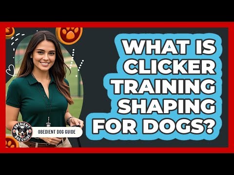 What Is Clicker Training Shaping For Dogs? - Obedient Dog Guide
