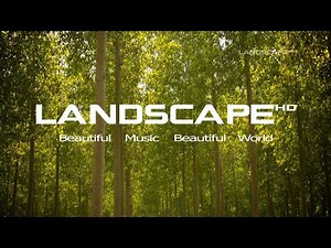 14 - The Landscape Channel - Art of Landscape - Archive Compilation