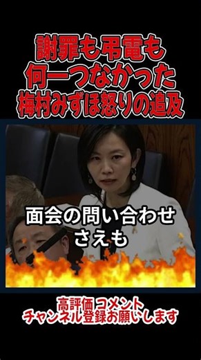 謝罪も弔電も何一つなかった——遺族の慟哭に梅村みずほが証人喚問を突きつけた【辺野古転覆事故】