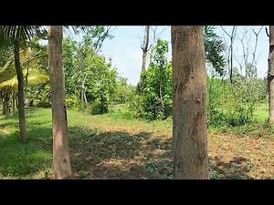 3 acre agriculture farm land for sale.