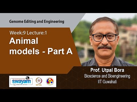Lec 34: Animal models - Part A