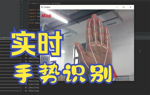 实时手势识别 | Hand Gesture Recognition | OpenCV&TensorFlow | 源代码即时可用 | 无需训练
