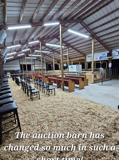 White Springs Farm & Livestock Auction Overview
