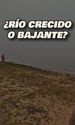 ¿Río CRECIDO o bajante? El SECRETO del dorado 🎣