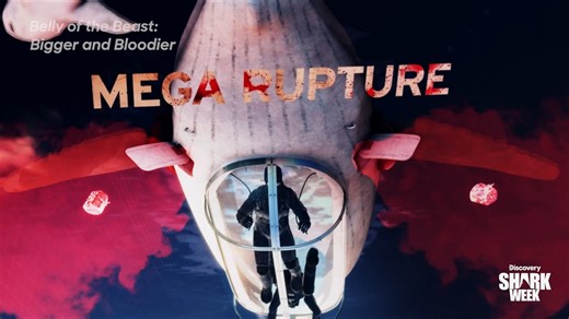 46K views · 364 reactions | Fully loaded 勞 Take a tour of the newly upgraded EARL, a giant whale carcass decoy that holds 2 people! Get inside the Belly of the Beast: Bigger and Bloodier on #SharkWeek this Sunday at 8p on Discovery | Shark Week | Facebook