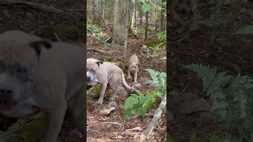 How safety drills create the perfect protection for kids