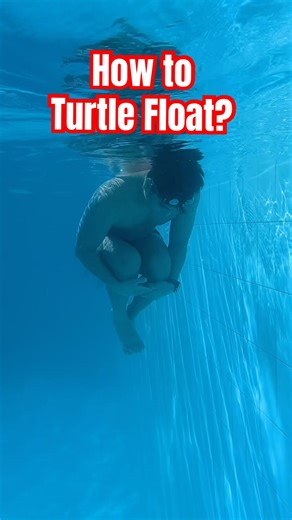 Floating: Turtle Float