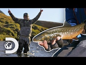 Fishermen Catch The Elusive Arctic Char In Greenland | Fish or Die