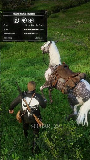 How to Get the Missouri Fox Trotter Early in Red Dead Redemption 2