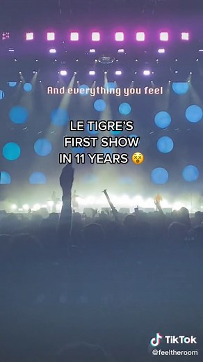 Le Tigre's First Live Show in a Decade - Deceptacon Performance