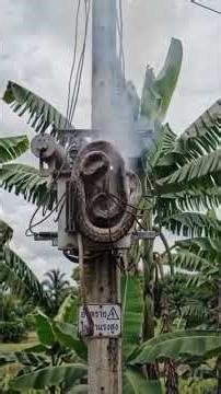 Python VS Power