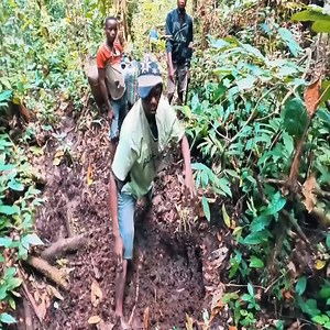 Una tribu primitiva que deambula por el bosque primitivo en busca de comida. | Halle Welch