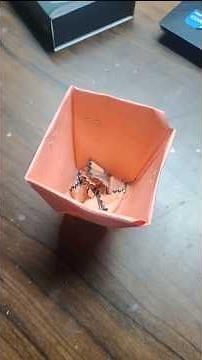 DIY Mini Dustbin With Paper Cup #diy #minidustbin #cute #handmade #artandcraft #craft #decocraft