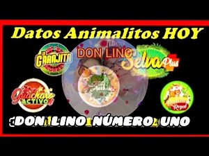 How to win the betting pool today 01/02/2026 with Don Lino's data