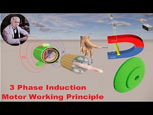 3 Phase Induction Motor working principle with animation || தமிழில்