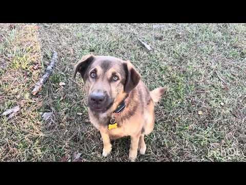 Recall with the Conway Pack