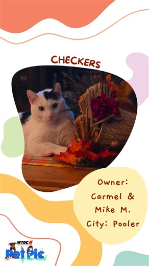 This week's WTOC Pet Pic is Checkers from Pooler! Submit your pet for a chance to be featured on The News at Daybreak! Link below! https://www.wtoc.com/page/pet-pics/ | WTOC-TV