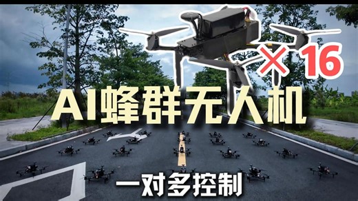 蜂群自主识别打击目标