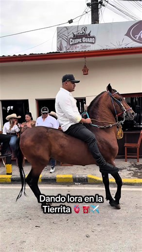 Cumpliendo un Sueño: Aventuras en Tierrita