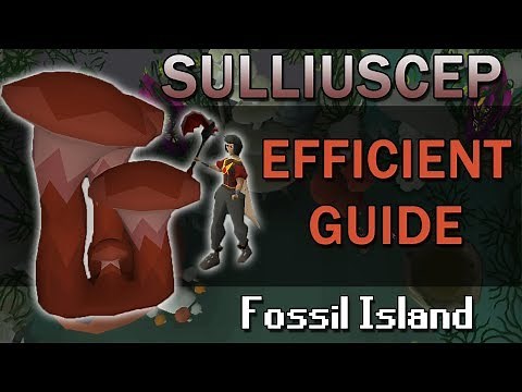 [OSRS] EFFICIENT Sulliuscep Guide | 74k Woodcutting XP/Hour