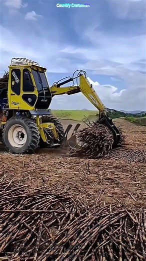 Grasping Efficiency: How Modern Machinery Transforms Logging