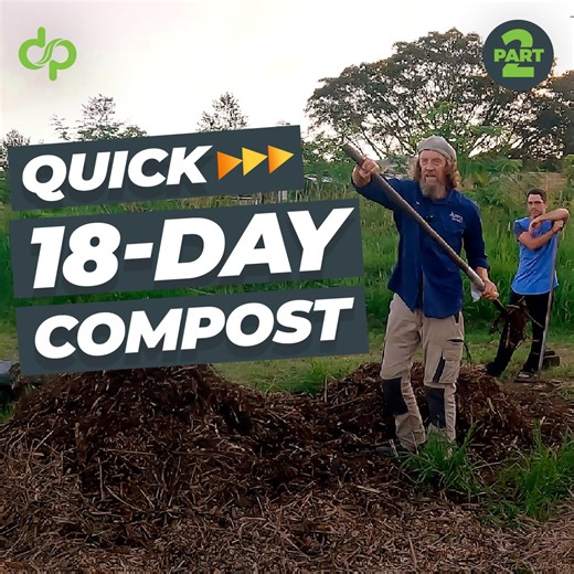 On the second day of the hot compost creation process, Geoff, Juan, and Ian are turning the pile. Watch Geoff as he peels the exterior layers of the pile to its core and demonstrates his shoveling methods. Geoff will keep track of the progress of this compost in future updates, so stay tuned ... #permaculture #discoverpermaculture #howto #howtomake #18daycompost #compost #fastcompost #quickcompost #hotcompost #berkeleycompost #berkeleymethod #organicfertilizer #naturalfertilizer #soil #buildsoil