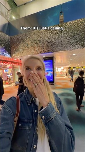 Them: It’s just a ceiling😱