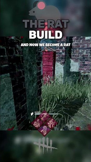 THE ULTIMATE RAT BUILD 🐀 - Dead By Daylight