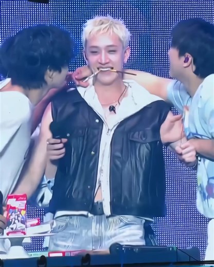 Stray Kids Fan Meeting Moments