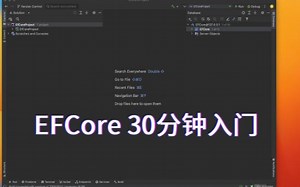 EFCore30分钟入门